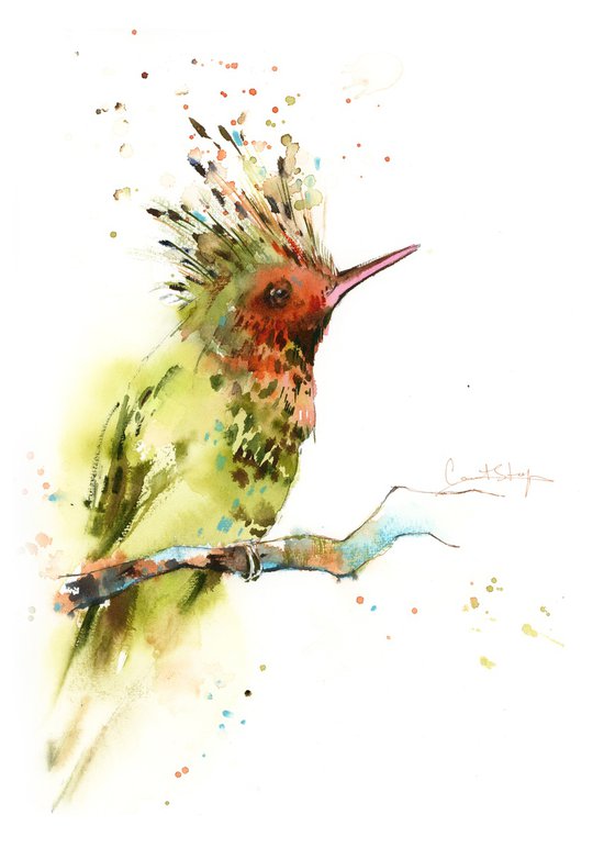 Hummingbird