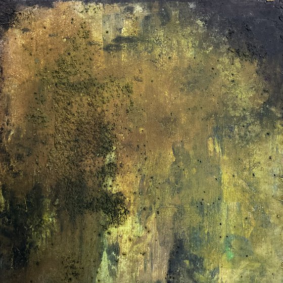 Resting In The Lichen