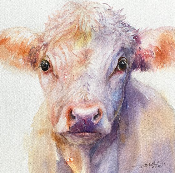Lilac and Amber_cow