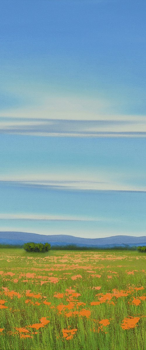 Blue Sky Poppy Field - Flower Field Landscape by Suzanne Vaughan