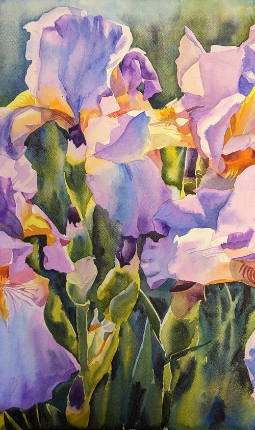 PINK IRISES#4 by Yurii Pashkov