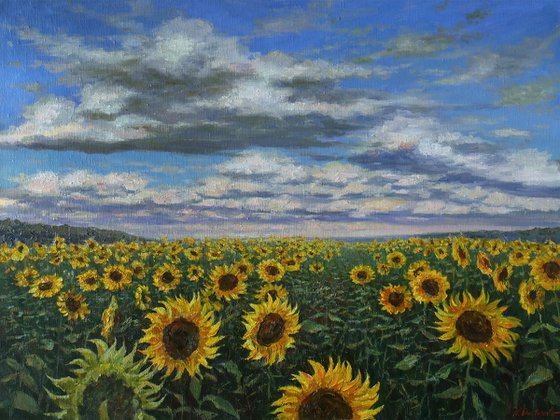 Sunflower Field - original landscape painting