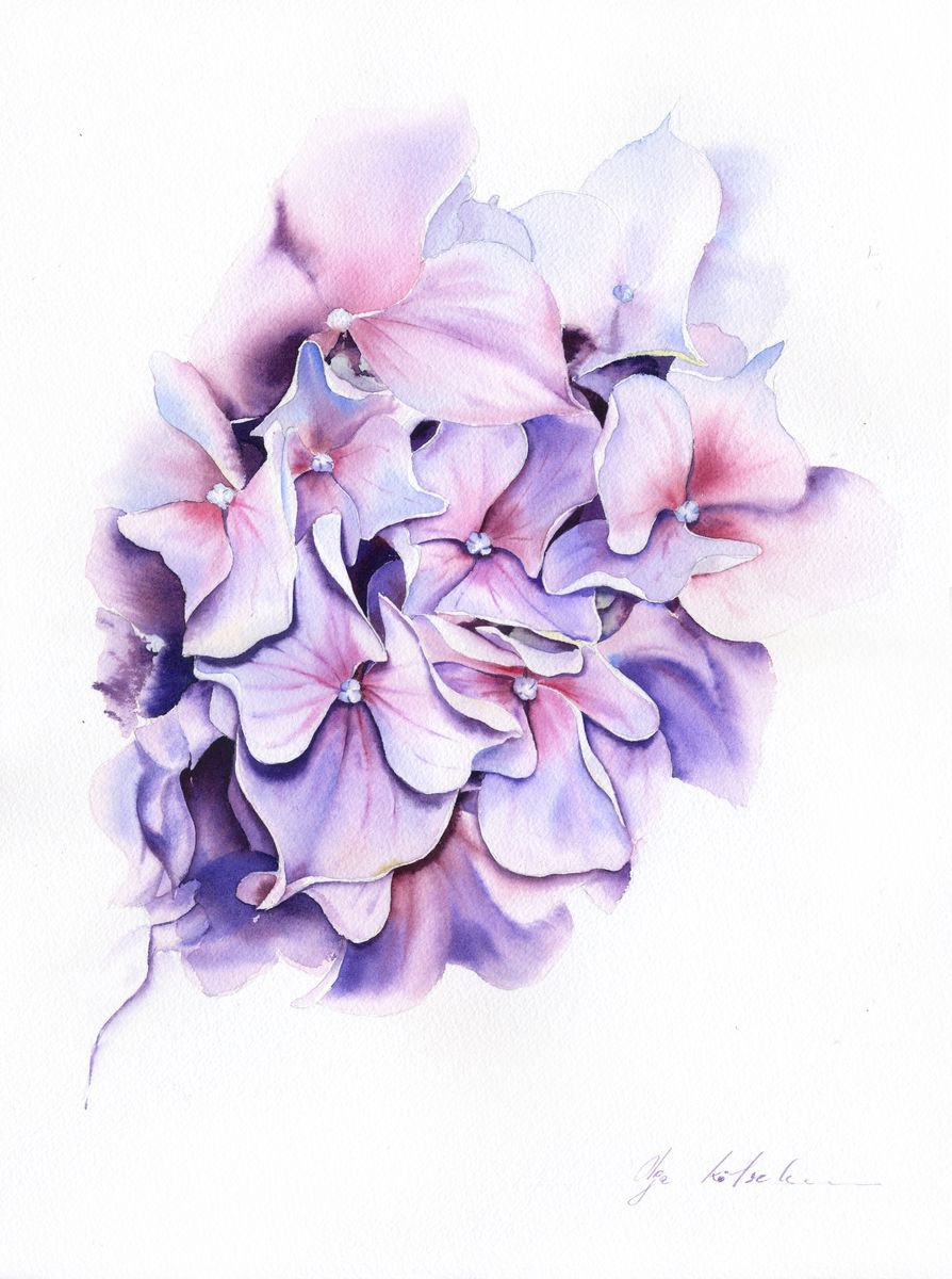 Impressionistic Botanical Watercolour By Olga Koelsch, 12 X 16", Puprle Hydrangea, Original Artwork