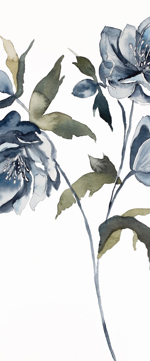 Hellebore No. 21 by Elizabeth Becker