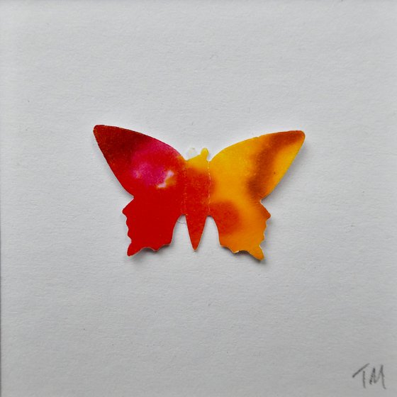 One Orange Butterfly