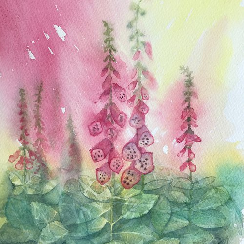 Pink Foxgloves by JANE  DENTON