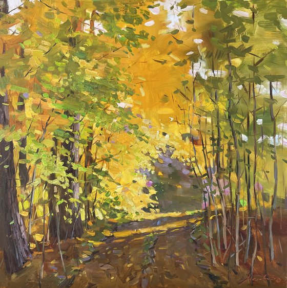 Autumn Forest Landscape