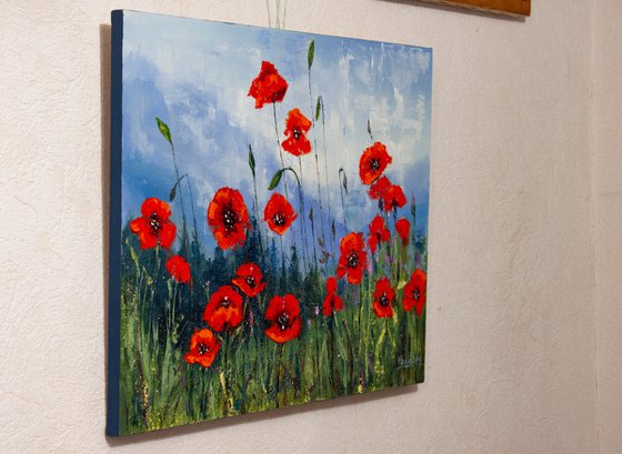 Red flowers , poppies