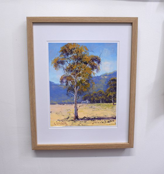 Hartley Valley Gum Tree Australia