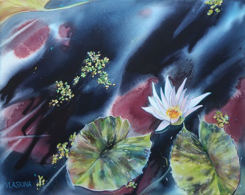 Lily pond by Alla Vlaskina