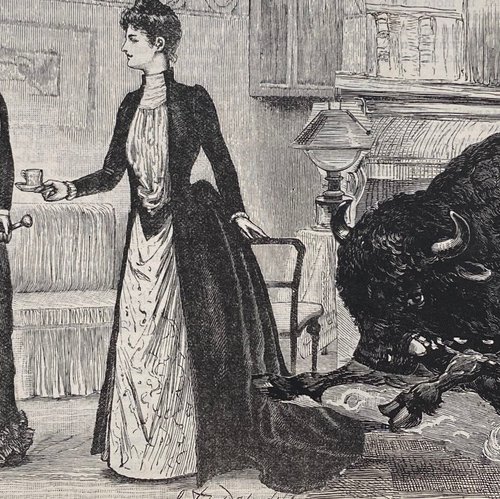 A Buffalo tea party by Tudor Evans