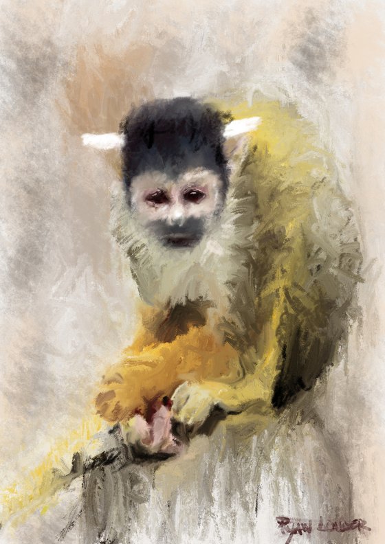 Squirrel Monkey