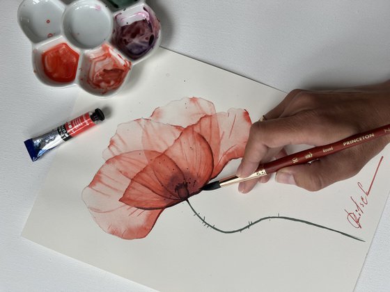 A red Poppy