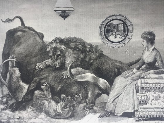 African buffalo and lions