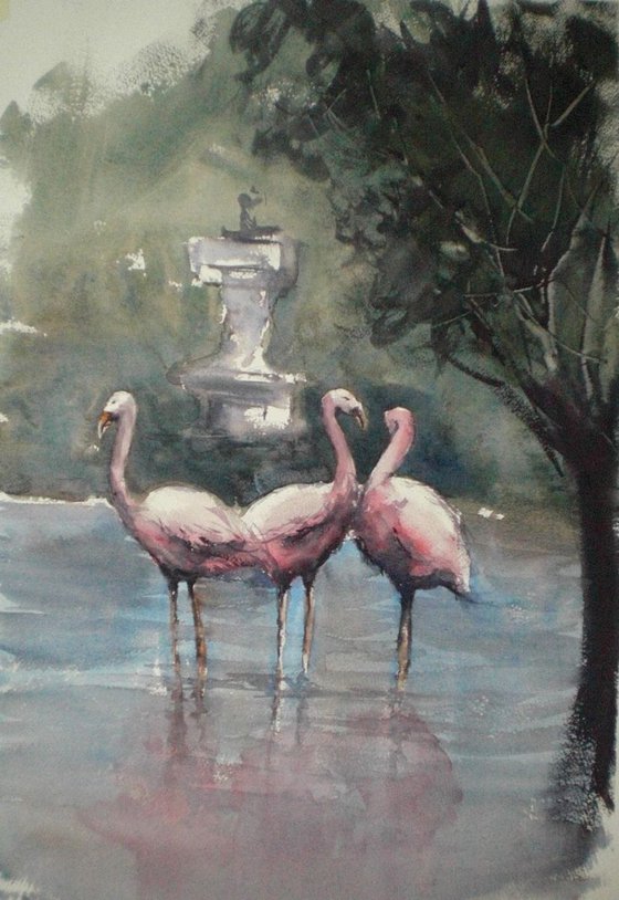 Flamingos