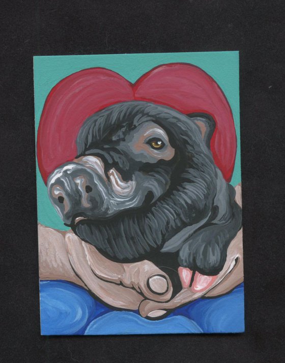 ACEO ATC Original Valentine Painting Black Pig Farm Pet Art-Carla Smale