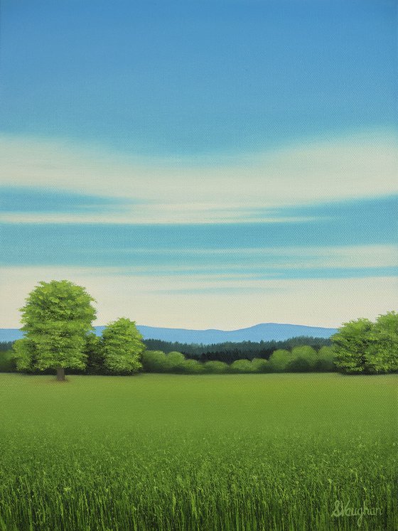 Grassy Meadow - Blue Sky