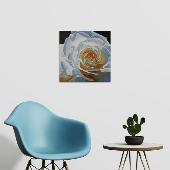 "Glowing."  rose flower  liGHt original painting  GIFT (2021)