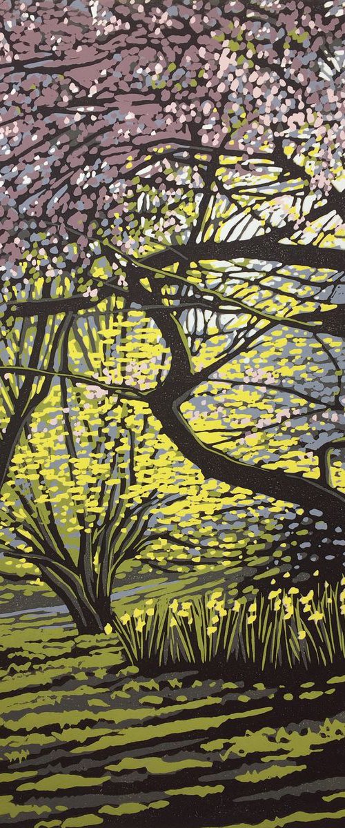Batsford Blossom in Shade by Alexandra Buckle