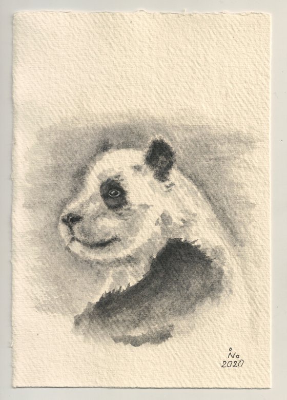 Portrait of baby panda