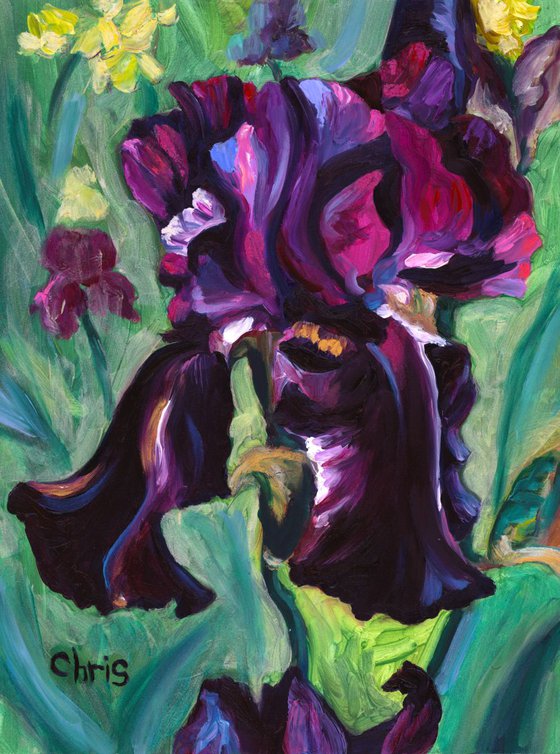 "Swazi Princess" Bearded Iris