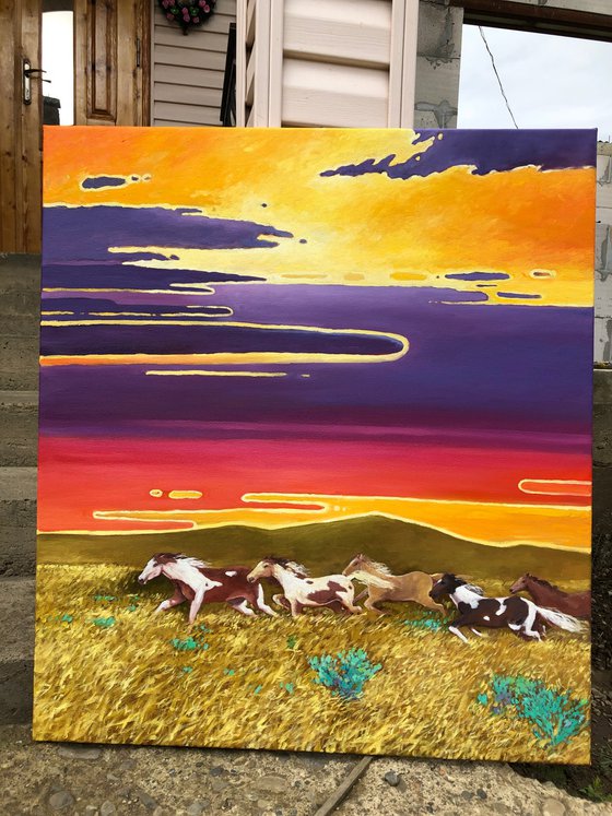 Horses. Sunset