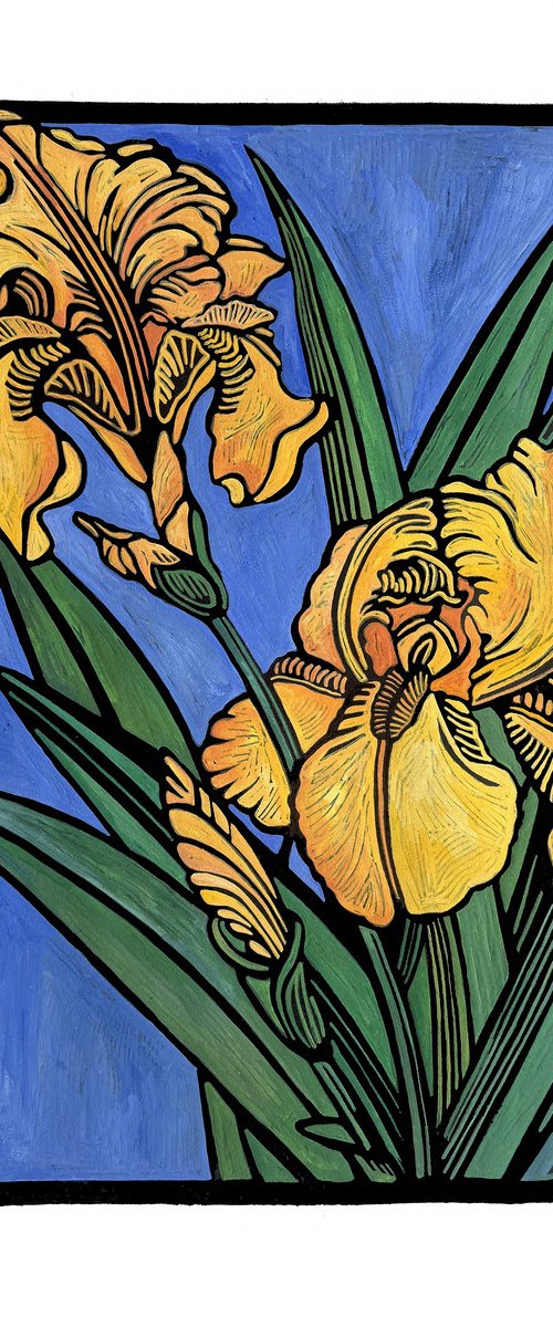 Bright Yellow Iris by Laurel Macdonald