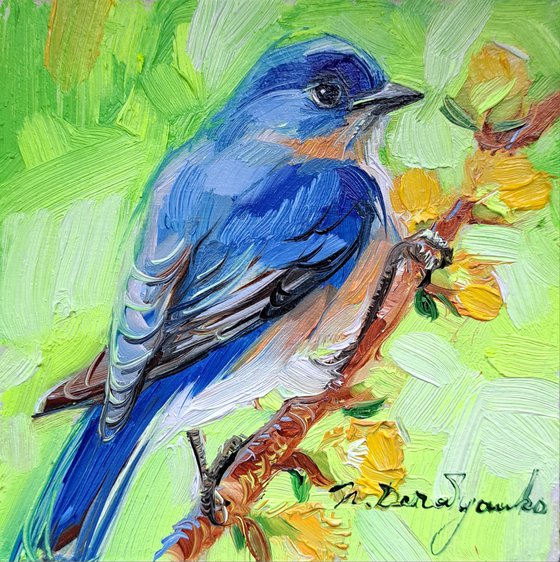 Eastern Bluebird painting original in oil 4x4 framed, Blue bird small wall art framed