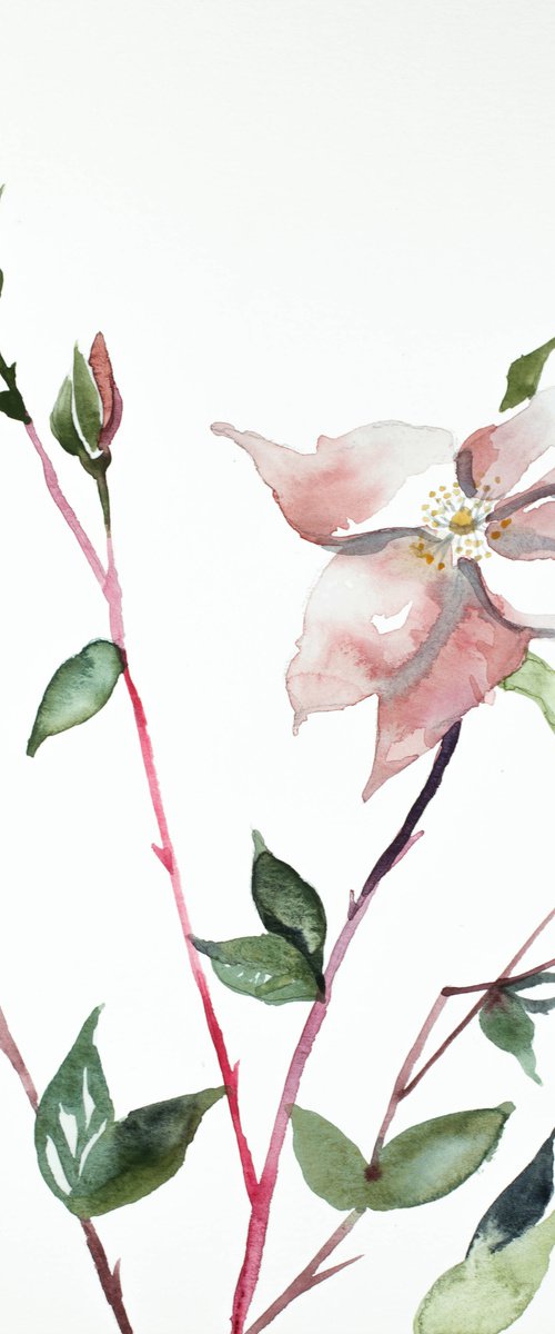 Wild Rose No. 6 by Elizabeth Becker