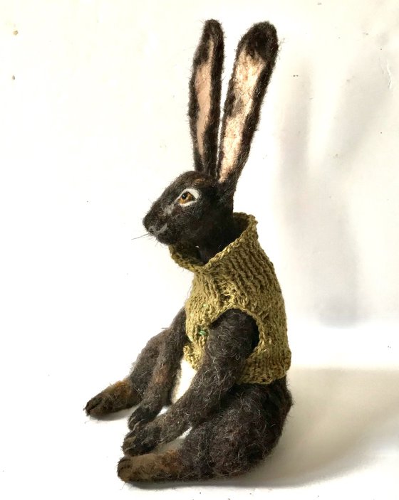 The hare in the green jumper