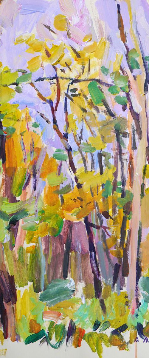 Plein air 19-10-2017 (autumn trees, etude) by Dima Braga