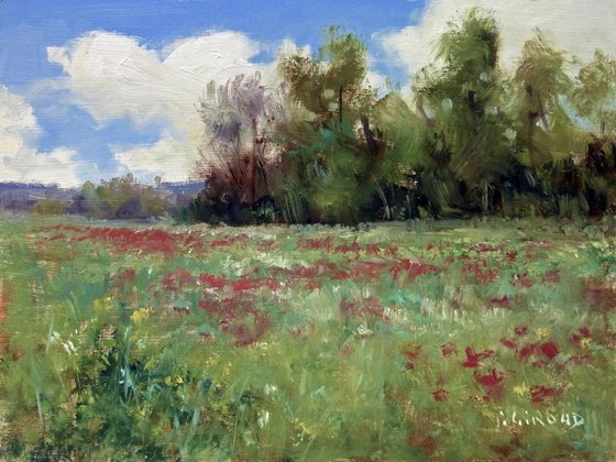 Field in Provence