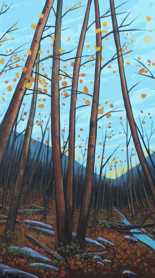 November Woods by Sage Mountain Studio