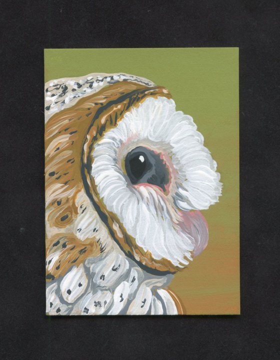 ACEO ATC Original Painting Barn Owl Wildlife Bird Art-Carla Smale