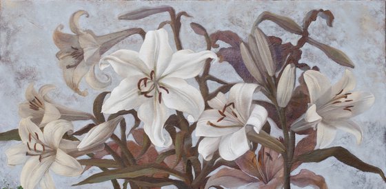 Lilies
