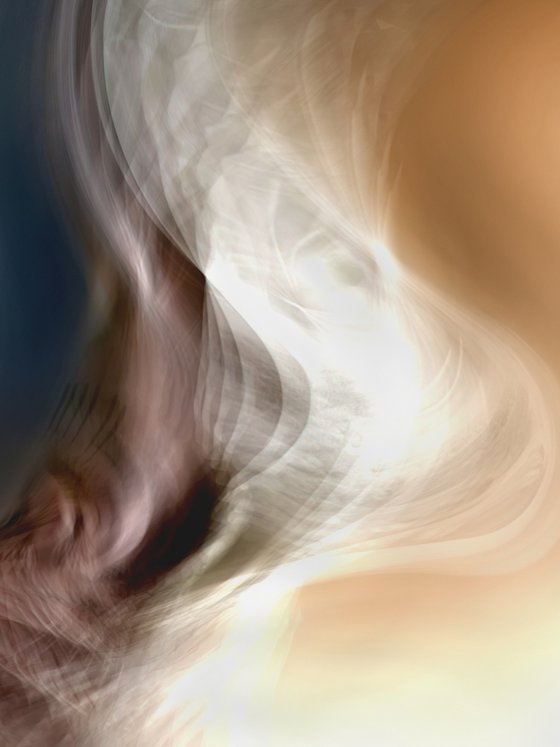 Miradas en movimiento XXIX