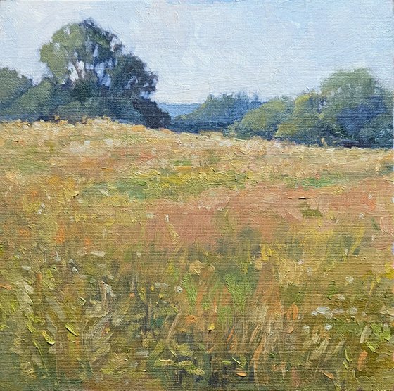 Indian Summer in a Meadow