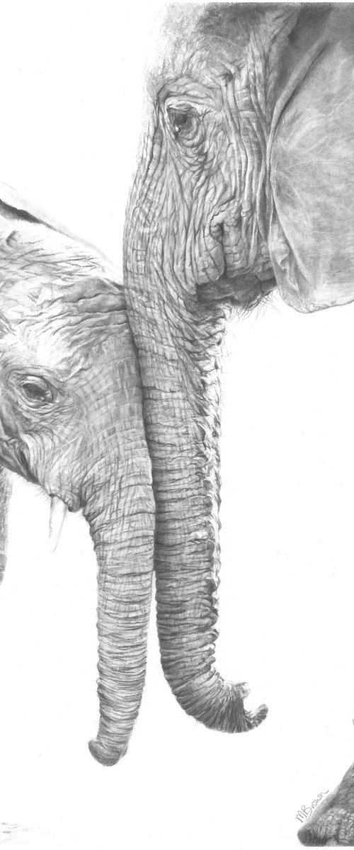 A Mother's Love by Marie Brown