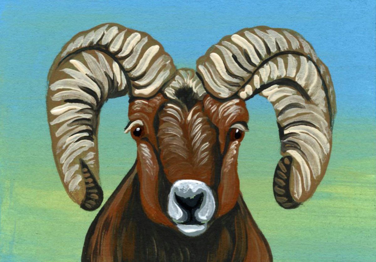 ACEO ATC Original Miniature Painting Bighorn Sheep Wildlife Art-Carla Smale by carla smale