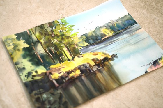 Ladoga lake, Valaam Island, Pines and stones of Karelia