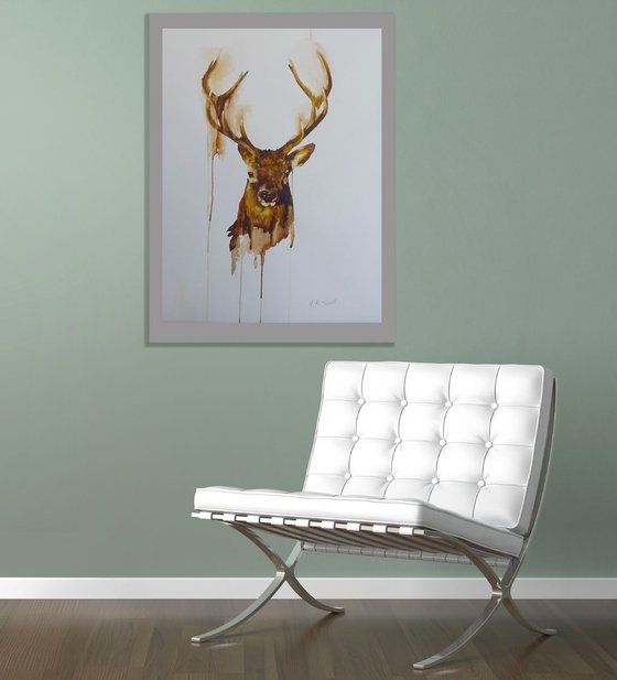 Stag Head