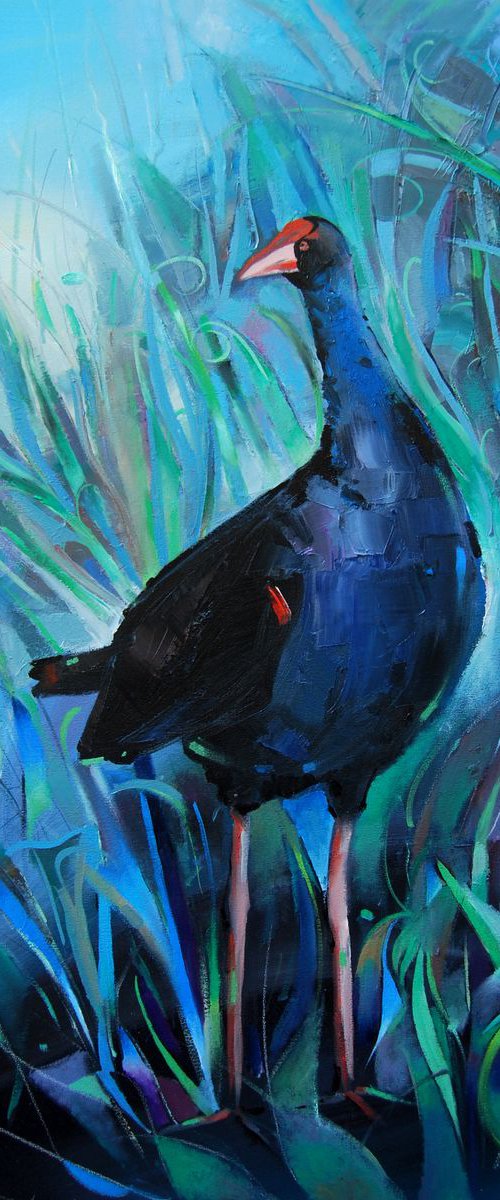 Purple swamphen porphyrio VIII by Trevor Salisbury