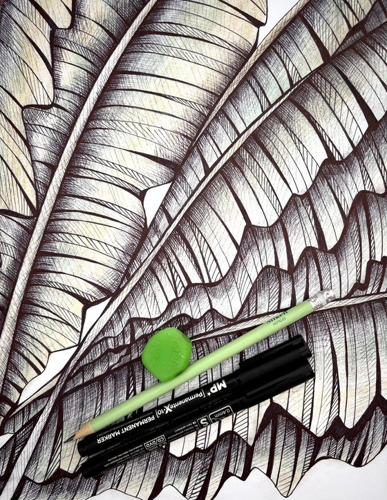 BANANA LEAVES DRAWING