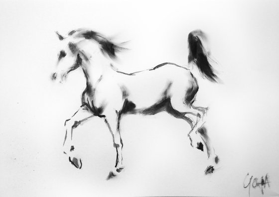 HORSE