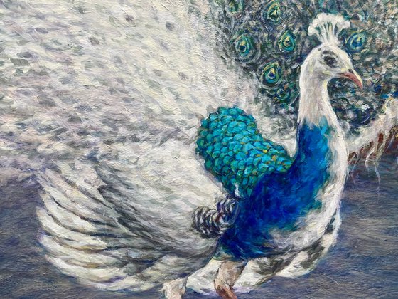 White Peacock, Blue White Peacock, Peacock Painting, Peacock Portrait, Beautiful Bird Painting, Exotic Bird Painting, White Blue Peacock