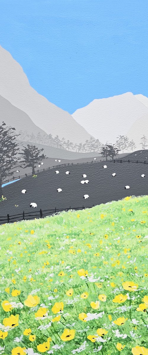 Patterdale Meadow by Sam Martin