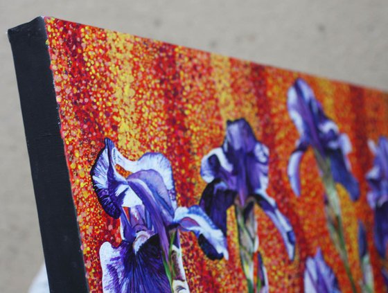 Irises, Purple on Red