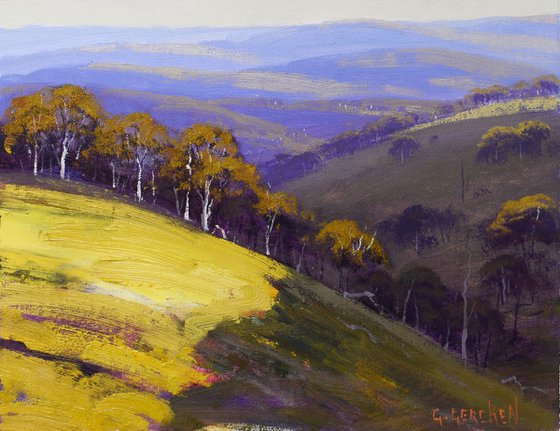 Sunlit Hillside Kanimbla valley