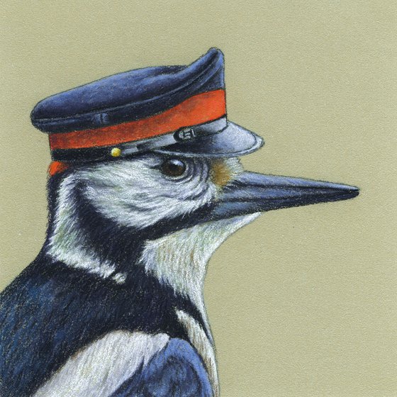 Original pastel drawing bird "Great spotted woodpecker"