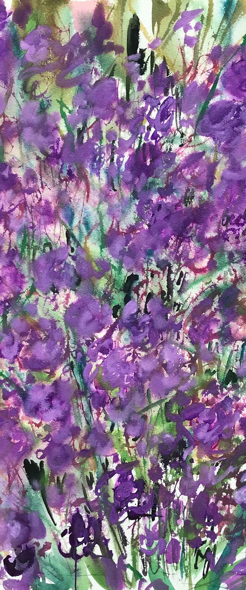 'Verbina' by Kathleen Mullaniff